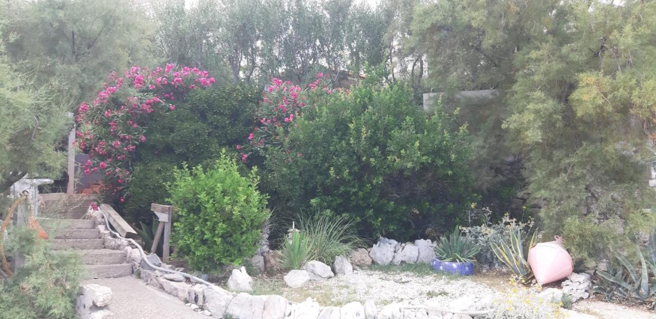 סביד Apartments Luka מראה חיצוני תמונה